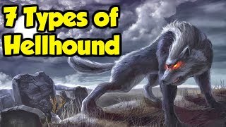 What Are Hellhounds  7 Types of Hellhound From Great Britain amp The Rest of Europe [upl. by Knute]