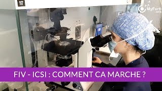 FIV ICSI en laboratoire PMA Comment ça marche [upl. by Asnerek]