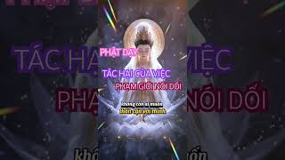 PHẬT DẠY TÁC HẠI CỦA VIỆC PHẠM GIỚI NÓI DỐI loihay phatday doisong phatphap phatphapnhiemmau [upl. by Cicily]