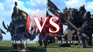 WARHAMMER III Total War  Tzar Guard VS Black Orcs [upl. by Desiri]