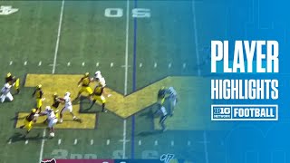 Colston Loveland Highlights vs Arkansas State  Michigan Football  09142024 [upl. by Neryt447]