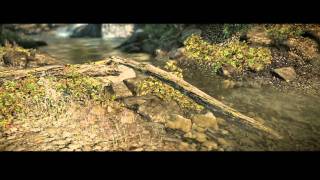 CryEngine 3 SDK Demo Environment quotForestquot HIGH Settings 30 FPS 1080p HD  RangerDave [upl. by Arakawa]