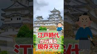 【1分で解説！】江戸時代から残る現存12天守（再掲） [upl. by Partan]