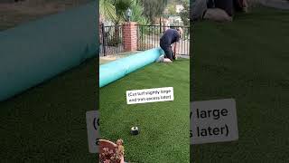 How To Install Artificial Turf [upl. by Parke]