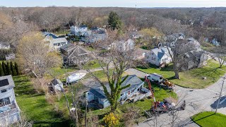 This Tree Would of DESTROYED This House MASSIVE Trunk [upl. by Aileek]