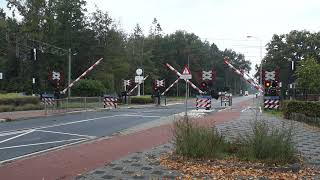 Spoorwegovergang Wezep  Dutch Railroad Crossing [upl. by Urita]