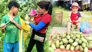 Summer Mango Taste  Cleanliness From Yard  Trieu Thi Nhiem [upl. by Anya]