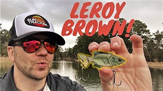 The Story of a MANN and a FISH  Crazy catch with Tom Manns LEROY BROWN crankbait [upl. by Arramat]