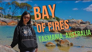 Visit Bay of Fires Tasmania Things To Do Road Trip East Coast Tasmania Video [upl. by Nork212]