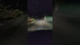 Araku Ghat road araku  ghatroad  travel peace night  scary  car journey  moonlight [upl. by Barbabas]