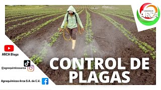 TIPOS DE CONTROL DE PLAGAS EN LA AGRICULTURA [upl. by Cherry]