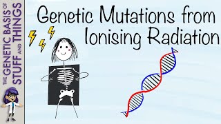 Xrays in action Unveiling genetic mutation by ionising radiation [upl. by Hjerpe]