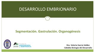 Embriología 3 Segmentación Gastrulación Organogénesis [upl. by Akieluz]