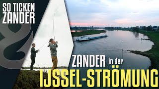 BuhnenZander aus der Ijssel So ticken Zander [upl. by Gradey]