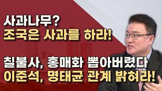 참 법 모르는 조국의 탄핵타령 칠불사 주지스님과 통화 홍매화 기념식수는 모르는 이야기 [upl. by Eisele927]