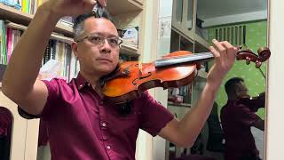 Practice with Violin Leung Sir Schubert The Bee L’Abeille 2025 HKSMF violin solo grade 6 N215 [upl. by Halverson]