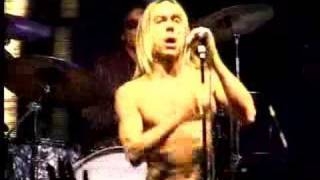 IGGY amp THE STOOGES LIVE IN BERLIN 2004 [upl. by Marlea]