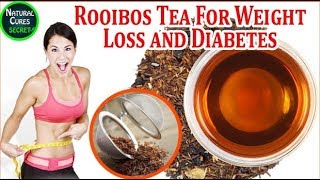 Red Rooibos Tea Benefits for Weight loss Diabetes Antiaging and More [upl. by Ecyoj]