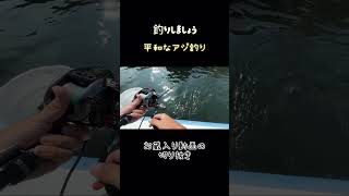 【船釣り】平和なアジ釣り 釣り fishing 船釣り 船 アジ [upl. by Rehpotsirahc]