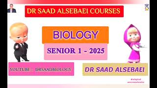 Biological macromolecules  biology senior 1  imitative feature in biology [upl. by Rosaline]