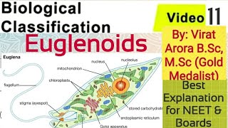 Name the connecting link between plants and animalsEuglenawhat is pelliclewhat is pyrenoid body [upl. by Herahab425]