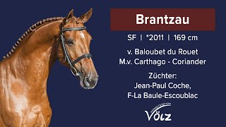 Brantzau Baloubet du RouetCarthagoCoriander [upl. by Jayme]