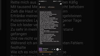 SchizophrenieGedicht als EmoSong [upl. by Kubetz257]