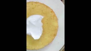 simple ice cake recipe [upl. by Tacita]