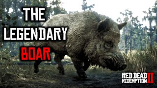 Legendary Boar in RDR2 Location [upl. by Esilegna]