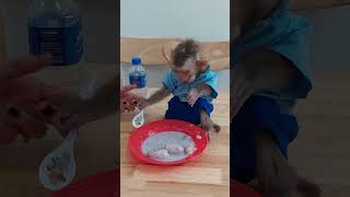 Little Molly Eat Porridge For Breakfast shortvideo cute shots [upl. by Udele]