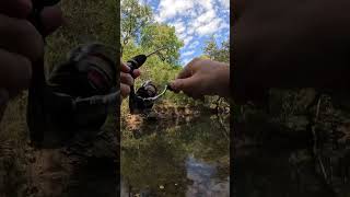 Creek Fishing fishing creekfishing [upl. by Guimar]