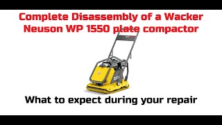 Wacker Neuson 1550 plate compactor teardown and rebuild [upl. by Vanhook180]