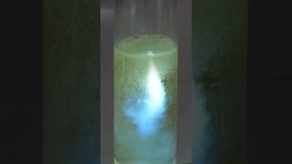 The amazing chemiluminescence of luminol [upl. by Kokoruda]