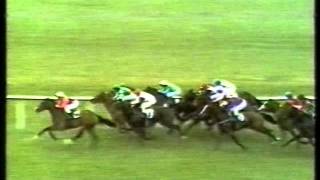 1982 1000 Guineas Stakes [upl. by Milak639]