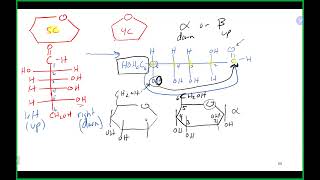 Chem 110 Lecture 112724 Ch 13 [upl. by Airdnaxela302]