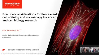 Practical considerations for fluorescent cell staining amp microscopy in cancer cell biology research [upl. by Aikrahs]