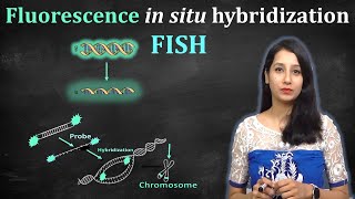 Fluorescence In Situ Hybridization  FISH Technique II Principle  Procedure Applications [upl. by Belshin]