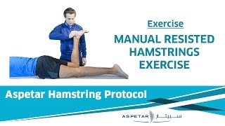 23 Exercises  Manual Resisted Hamstrings [upl. by Adnima]