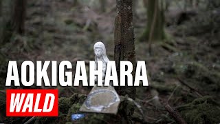 AokigaharaWald Japan – Der Selbstmordwald  Explore Edge auf Deutsch [upl. by Eeltrebor]