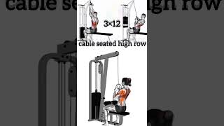 Cable seated high row  Body building workout shorts [upl. by Nywnorb]