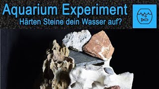 Steine im Aquarium und Aquascape  Härten sie dein Wasser auf Aquaristik Experiment Hardscape Test [upl. by Ecirahs981]