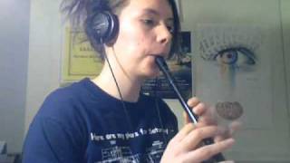 Traditional Irish Tin Whistle Songs [upl. by Akener]