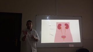 Excretory System  IGCSE BIOLOGY بالعربي [upl. by Amitie]