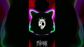 Bibi phonk br aveeplayer phonk [upl. by Oman976]