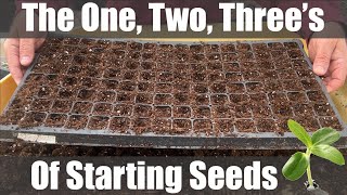 Start Seeds Like a Pro Prepping Propagation Trays [upl. by Jae682]