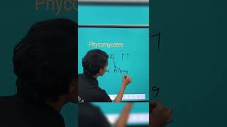 Phycomycetes example trick by Ranveer sir shorts [upl. by Fagaly]