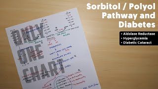 Sorbitol or Polyol Pathway  1  Diabetes  TCML Biochemistry [upl. by Rimhsak461]