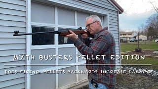 Myth busters pellet edition does a backwards pellet cause more damage Hydroshock feinwerkbau 124 [upl. by Ramin]