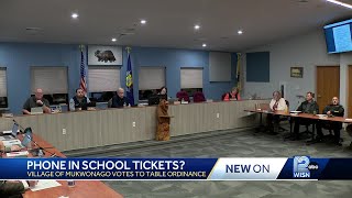 Mukwonago village board tables ordinance that would ticket students for using cell phones in school [upl. by Yruama21]