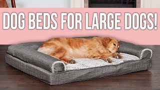 5 Best Dog Beds for Large Dogs You Can Buy [upl. by Aeret449]